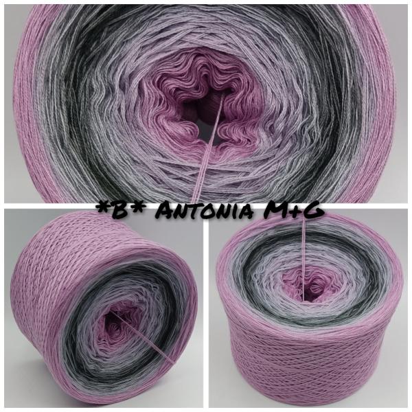 (ab 0,016€/Meter) *B* Antonia M+G